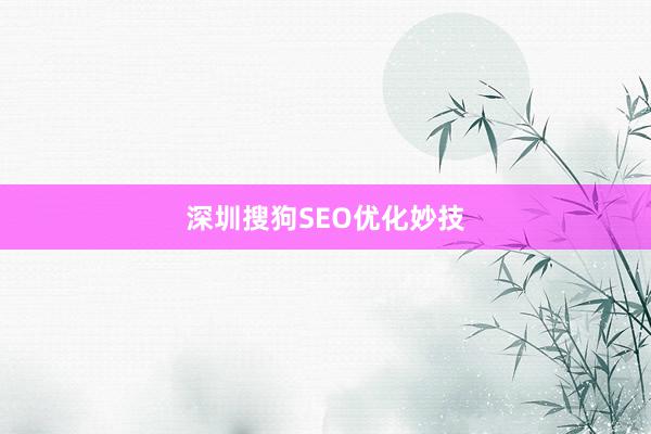 深圳搜狗SEO优化妙技