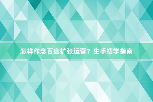 怎样作念百度扩张运营？生手初学指南