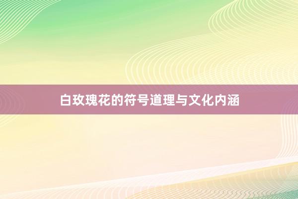 白玫瑰花的符号道理与文化内涵