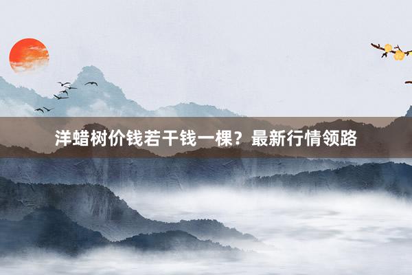 洋蜡树价钱若干钱一棵？最新行情领路