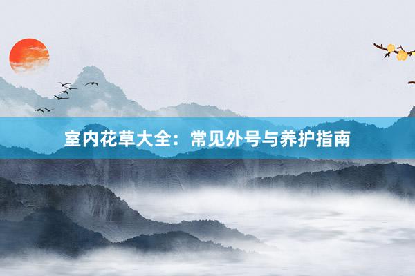 室内花草大全:常见外号与养护指南